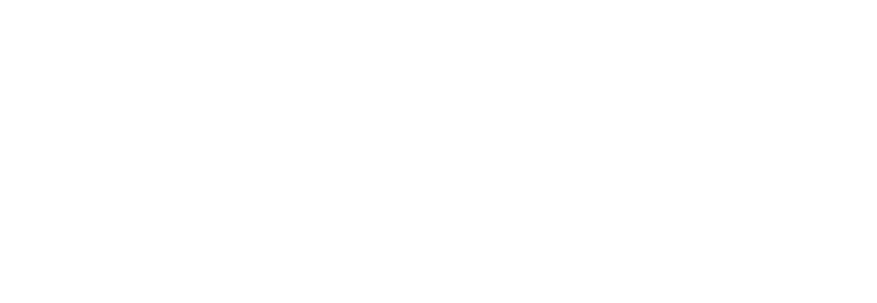 logo-dayan-motors_w